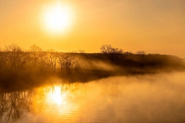 朝霧が立ち込める水辺の風景で、昇る太陽の黄金色の光が水面と霧を照らしています