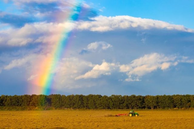 青い空に鮮やかな虹がかかり、手前の黄金色の畑では緑のトラクターが作業をしている美しい田園風景