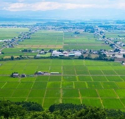 東川町の田園風景